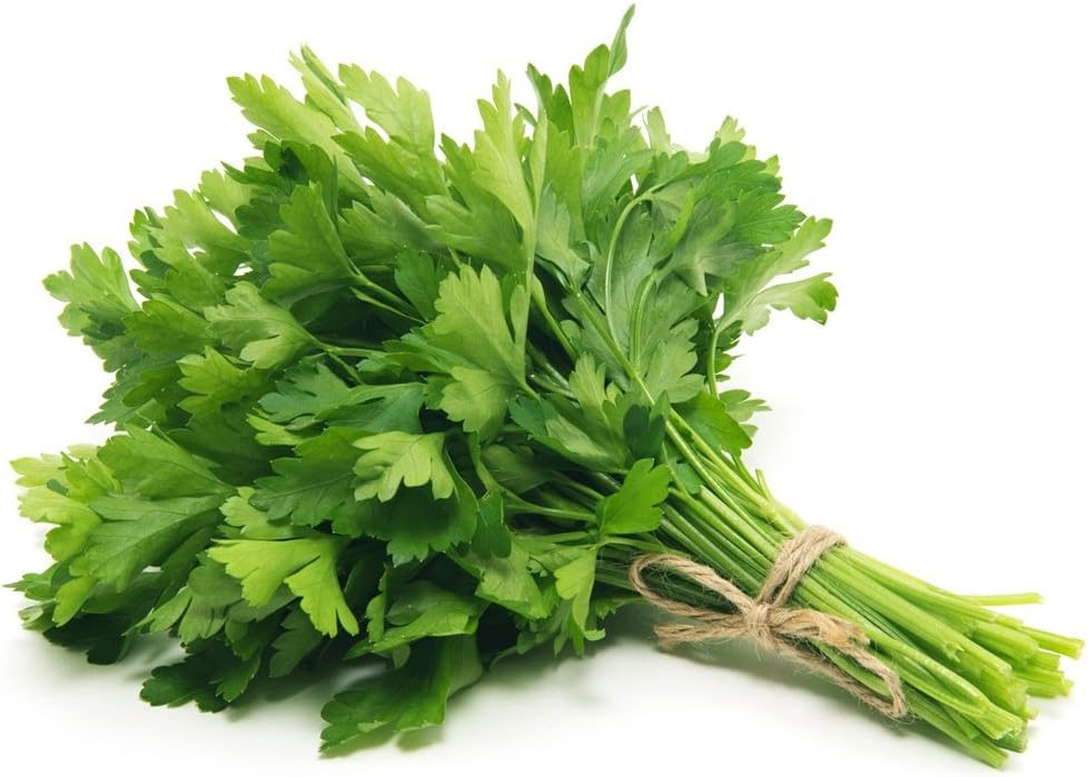 BIO - Perejil de hoja