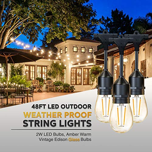 JUSLIT 48Ft LED Outdoor Christmas String Lights, 2W Edison Vintage