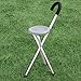 Handy Cane Seat XL
