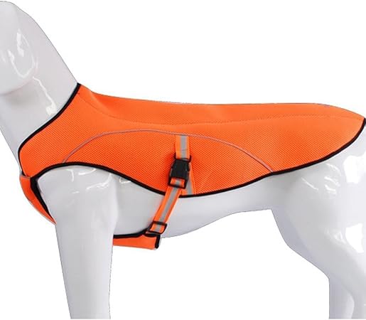 dog cooling jacket amazon