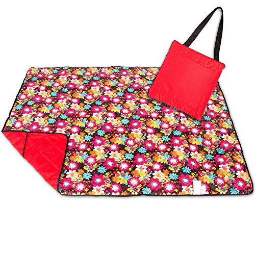 picnic blanket oversized