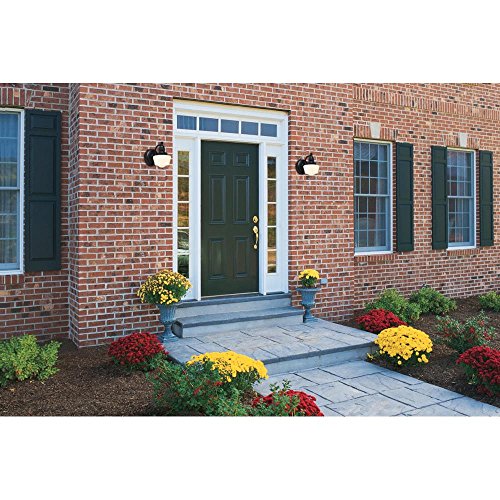 Westinghouse Lighting 6314300 Eddystone One-Light Outdoor Wall Fixture, Textured Black Finish with White Opal Glass