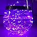 HAHOME Dimmable Led String Lights 33Ft 100 LEDs Starry Lights with Power Adapter and Remote Control,Purple