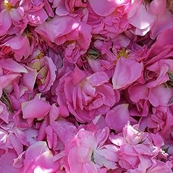 Aromatics International Rose and Geranium Essential