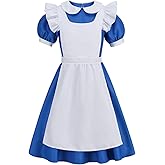 Colorful House Adult Anime Cosplay Outfit Women Blue Maid Costume Apron 4 Pcs Halloween Lolita Maid Dress Set