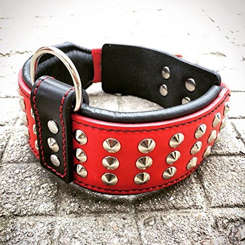 Bestia Genuine Leather Dog Collar with Studs and Soft Leather Cushion. Wide. Durable. Longlasting. Padded. Pitbull. Bulldog. Bully. APBT. Rottweiler. Cane Corso. Handmade in Europe!