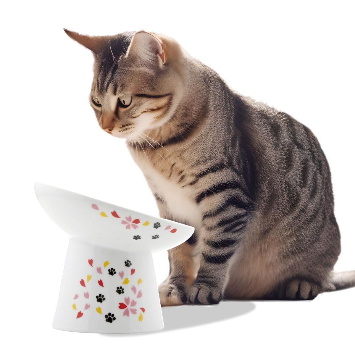 Necoichi Raised Cat Food Bowl – Ceramic Elevated 15° Tilted Bowl for Whisker Fatigue, Dishwasher & Microwave Safe, Non-Slip Anti-Vomiting Ergonomic Design (Sakura Floral, Extra Wide, 1.5-Cup Capacity) Image