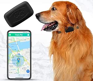 Nacrl Pet Gps Tracker No Monthly Fee Free App Real Time Tracking Collar Device App Control Location Tracking Collar For Dogs Cats Waterproof Small Lightweight 35 G U S Nationwide Coverage Amazon Ca Electronics