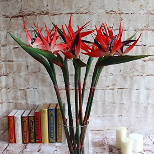 Lily Garden Pack of 6 Bird of Paradise Spray Natural (Red, 22.5 Inch)