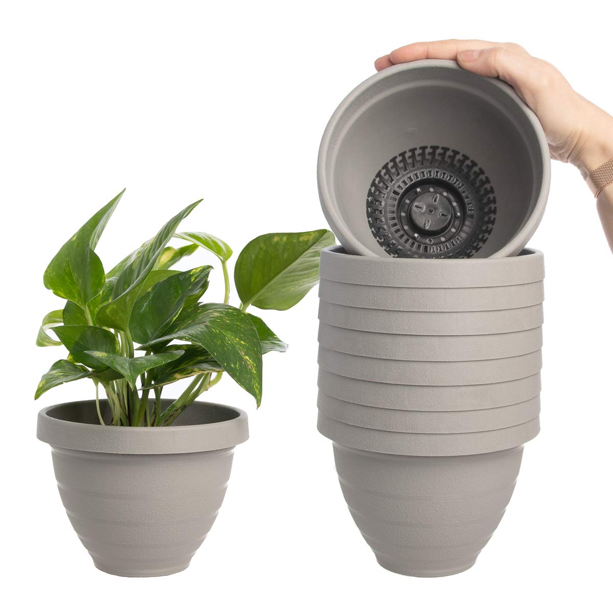 Buy HC Companies (10 Pack) 6 Inch Self Watering Planter Indoor Outdoor