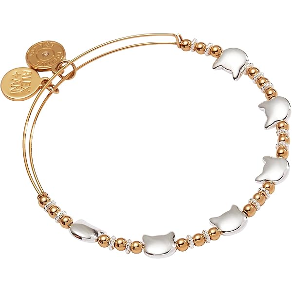 Thank You Bracelet Alex And Ani Anchor III EWB, Rafaelian Silver