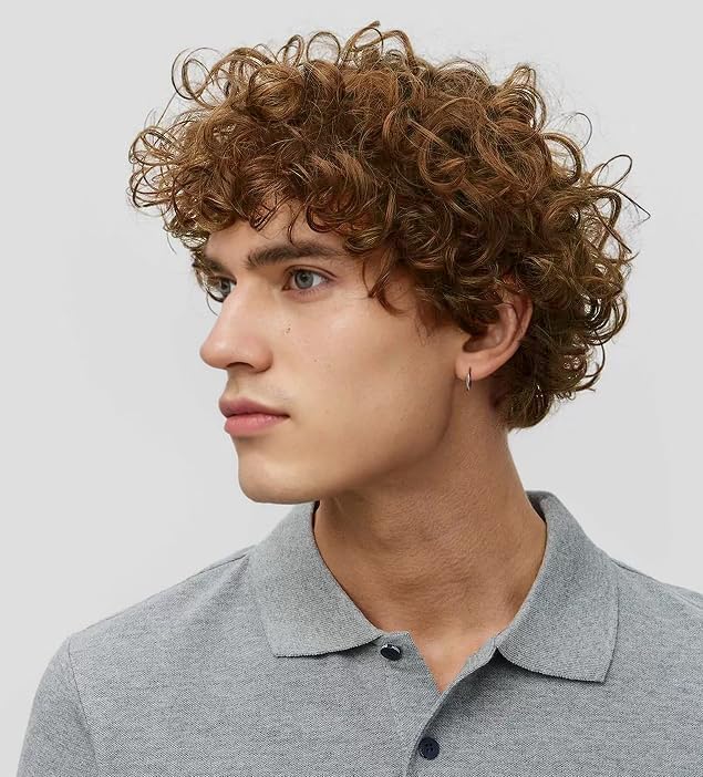 Siudus Mens Brown Short Curly Wig Natural Looking Synthetic Hair Wigs with Bangs for Daily Halloween Use (Brown)