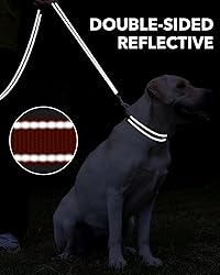 Taglory Dog Leash for Medium Large
