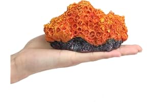 Danmu 1Pc of Polyresin Coral Ornaments, Aquarium Coral Decor for Fish Tank Aquarium Decoration 5.11" x 3.93" x 2.75"…