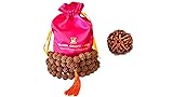 Himalayan organic five face Rudraksha necklace