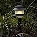 Paradise GL22627 Low Voltage Plastic 4W Path Light (Black, 12 Pack)