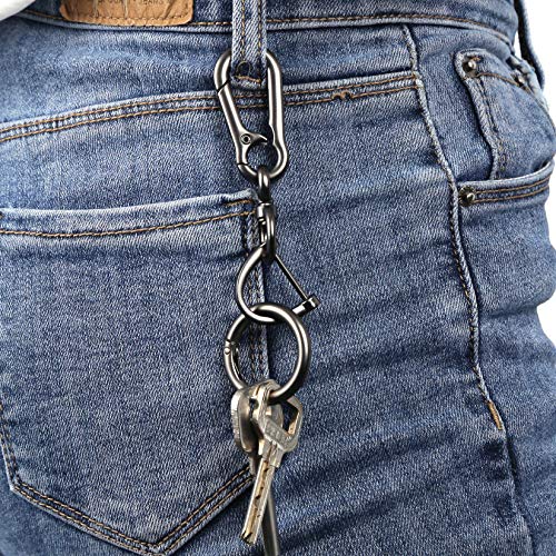 Keychain for Car Keys - Detachable Key Chain with Horseshoe Shape D-Ring and Quick Release Spring Key Rings, Metal Carabiner Clips, Simple Car Accessories Keychains for Men and Women(2Pack/Gun)