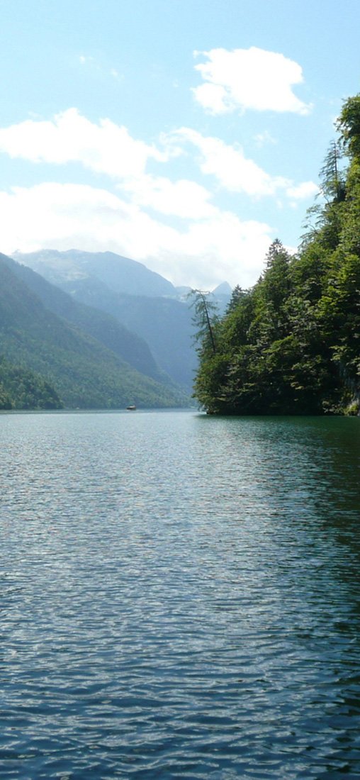 PeelitStickit, Beautiful Nature Wall Murals, ID-3122, vinyl