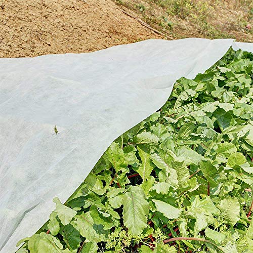 Agribon AG30 (83" x 50') Floating Row Crop Cover/Frost Blanket/Frost