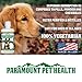 Plant-Based Liquid Glucosamine for Dogs, 1600mg Joint Support with Chondroitin, MSM & Omega 3-6-9, Shellfish-Free Dog Arthritis Supplement for Mobility & Flexibility, Made in USA, 32 oz