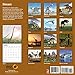 Dinosaurs 2018 16 Month Wall Calendar 12 x 12 inches Bright Day Calendars Publishing