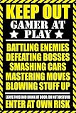 Gaming Poster 24 x 36in