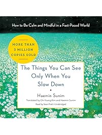 The Things You Can See Only When You Slow Down: How to Be Calm and Mindful in a Fast-Paced World
