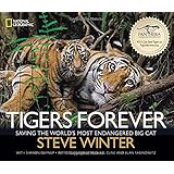 Tigers Forever: Saving the World's Most Endangered Big Cat