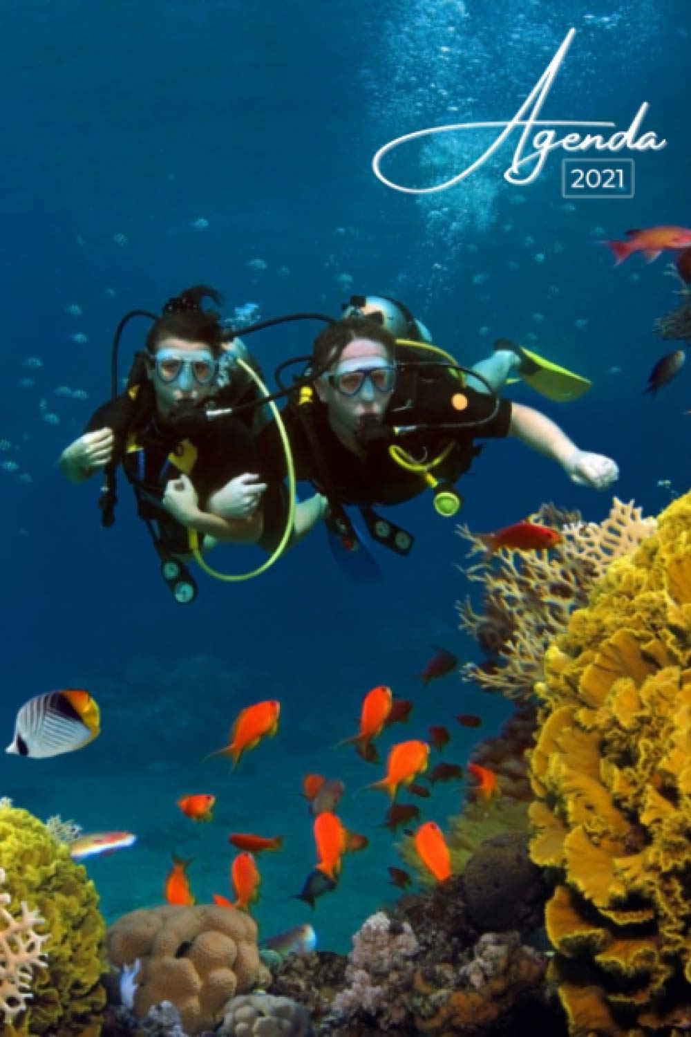 Amazon Fr Agenda 21 Plongee Sous Marine Janvier A Decembre 21 Agenda Annuel Semainier Format A5 12 Mois Pour Les Etudiants Professionnels Et Calendrier Liste De Contacts Notes Jaynda A Livres