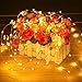 RaThun 33ft 100 LEDs String Lights Flexible Copper Wire Lights Waterproof Design Decor Rope Lights for Festival, Christmas, Wedding, Holiday and Party with Wireless Remote Control, Warm White
