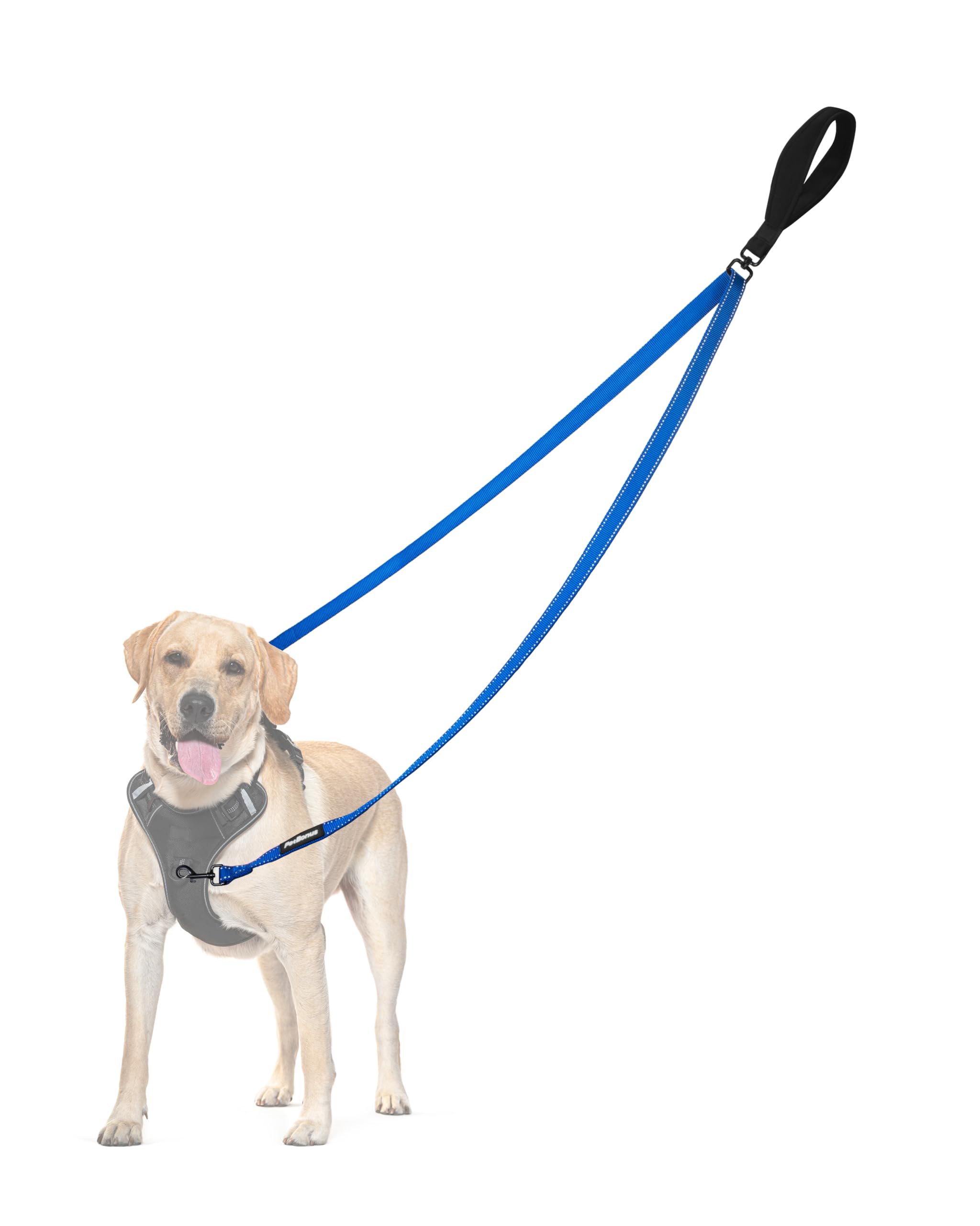PetBonus Two Point Control Dog Lead, Works with No Pull Harnesses, No Tangle Training Leads, Soft Padded and Reflective Walking Lead, Converts to Single Lead for Medium Large Dogs (Blue)