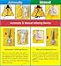 Premium Quality Automatic / Manual Inflatable Life Jacket Lifejacket PFD Life Vest Flotation Suit Inflate Survival Aid Lifesaving PFD NEW