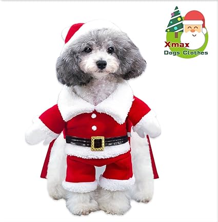 Natale Animali Immagini.Symbollife Costume Da Babbo Natale Cane Cappotto Per Cani Giacca Invernale Per Cani Caldo Natale Con Cappuccio Maglione Per Cane In Misto Cotone Regalo Natalizio Amazon It Prodotti Per Animali Domestici