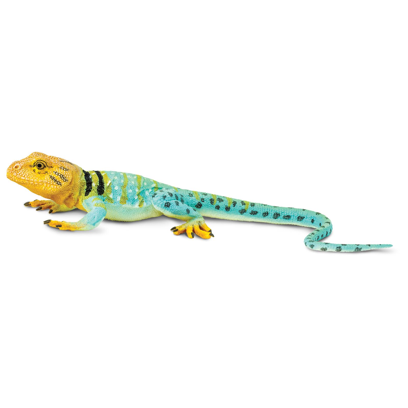 Safari Ltd Incredible Creatures® 271029, collared lizard