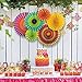 Ohomr Paper Fan Decoration Set of 12 for Wedding Mexican Fiesta Birthday Carnival Kids Christmas Party Color Ceiling Hanging Round Tissue Fans Decor