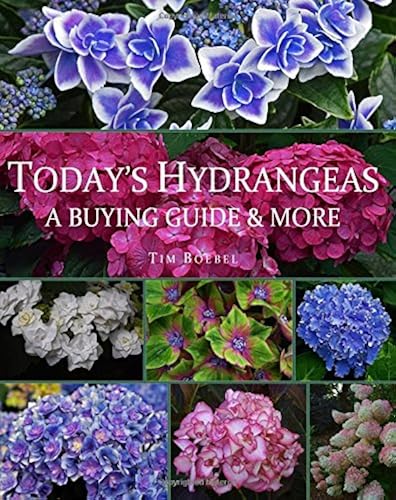 Download Today's Hydrangeas: A Buying Guide & More PDF
