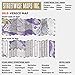 Streetwise Venice Map - Laminated City Center Street Map of Venice, Italy