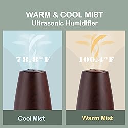 Cool Mist Humidifier，Elecameier Air humidifier