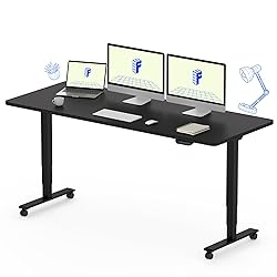 FLEXISPOT E6 Dual Motor 3 Stages Standing Desk