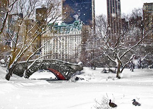 New York Christmas Holiday Cards Ducks by Love Bridge Central Park Snow Boxed 12 Pack of 5x7 Cards Envelopes Included. Greeting Cards Collection Christmas in New York