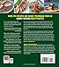 More BBQ and Grilling for the Big Green Egg and Other Kamado-Style Cookers: An Independent Cookbook Including New Smoking, Grilling, Baking and Roasting Recipes