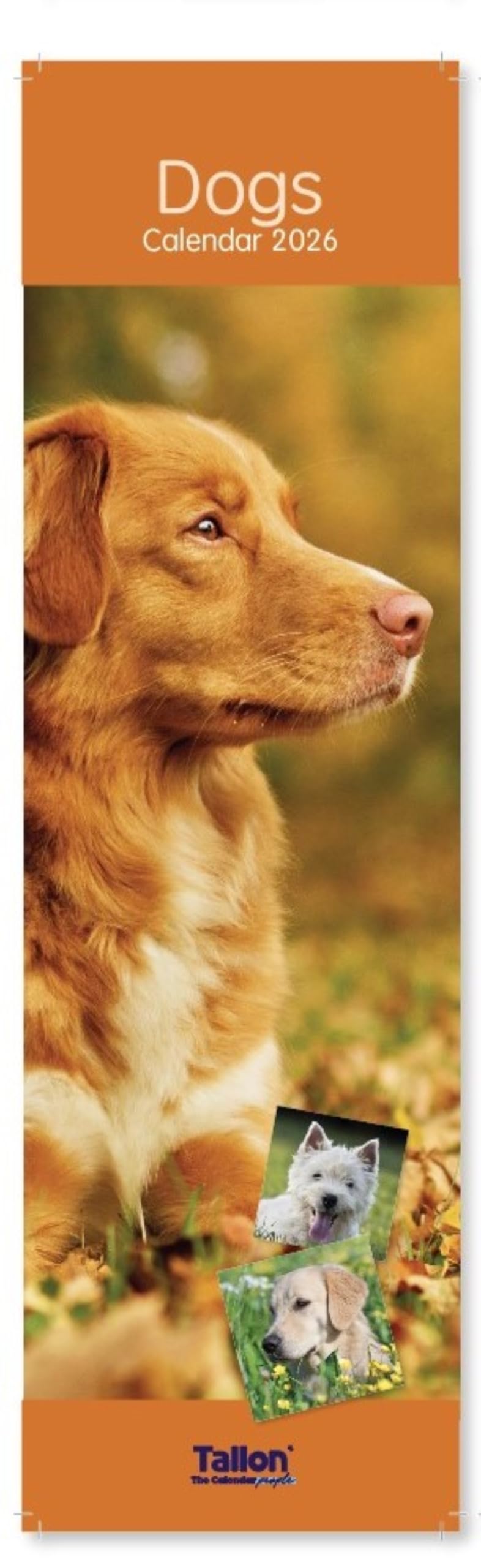 2026 Super Slim Month To View Spiral Bound Animal Photo Wall Calendar - Dogs