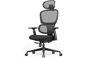 ProtoArc Ergonomic Office Chair – EC300 Adjustable Lumbar High Back Desk Chair, Sliding Seat, 3D Headrest, Wider Armrests, 4 