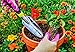 Modern Times Living Transplanter Trowel with Ergonomic Handle from Homegrown Garden Tools; Heavy Duty Polished Aluminium Blade; Includes Burlap Tote Sack - Makes Great Gift