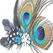 JISTL Unique Design of Peacock Feather Hair Accessories for Women