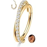 FUNLMO 316L Surgical Steel Tragus Helix Rook Conch Daith Piercing Jewelry Cartilage Hoop Earring Cube Zircon Hinged Nose Ring Hoop