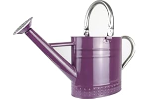Megawodar 1 Gallon Metal Watering Can with Removable Spout, Nice Galvanized Steel Water Can with Embossed Design for Indoor and Outdoor Plants (Purple)