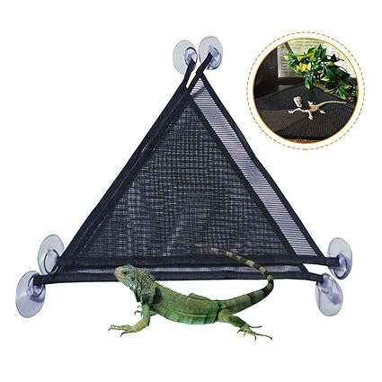 gecko accessories