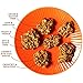 Lark Ellen Farm Grain Free Paleo Granola Bites Delicious Gluten Free Certified Organic (Vanilla Cinnamon) (16 oz)