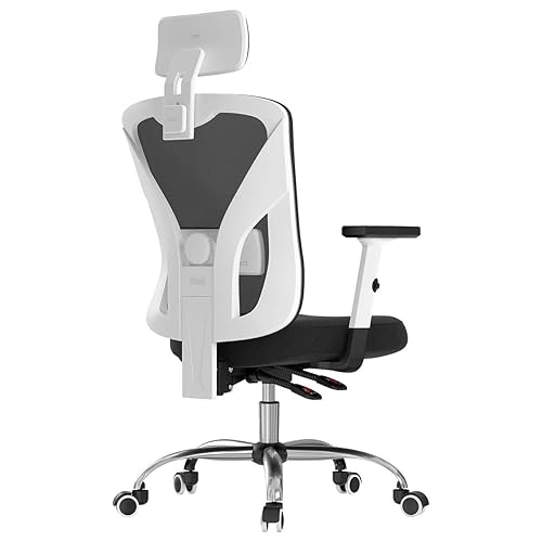 Hbada Ergonomic Office Desk Chair with Adjustable Armrest, Lumbar